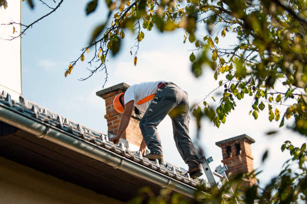 Trusted Rockwood, MI Roofing Service Experts