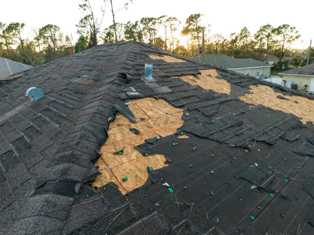 Best Roof Moss and Algae Removal  in Rockwood, MI