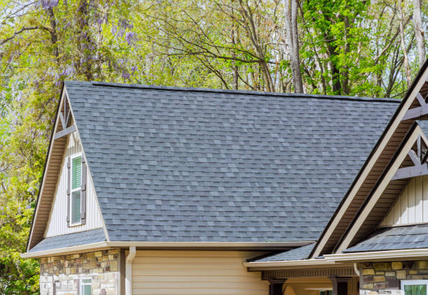 Best Skylights  in Rockwood, MI