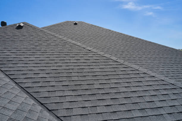 Best Roof Replacement  in Rockwood, MI